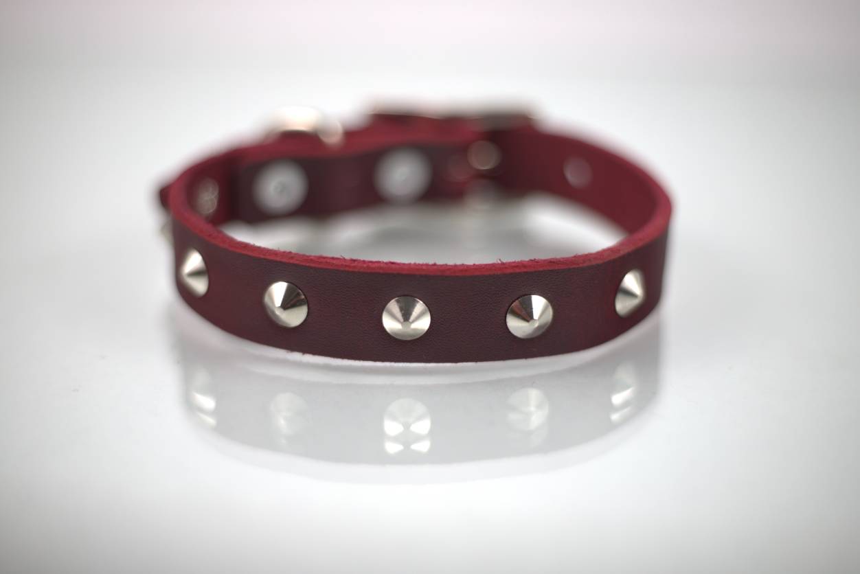 Collar con Estoperol para Perro de Piel, 2cm de ancho