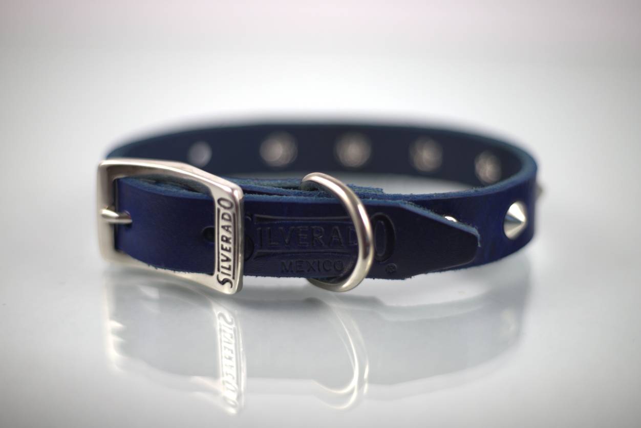 Collar con Estoperol para Perro de Piel, 2cm de ancho