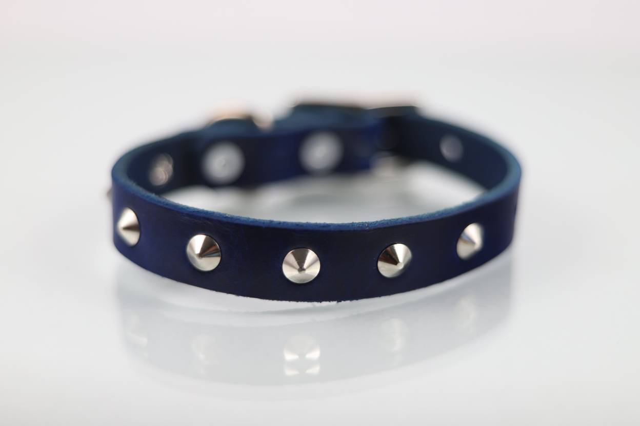 Collar con Estoperol para Perro de Piel, 2cm de ancho