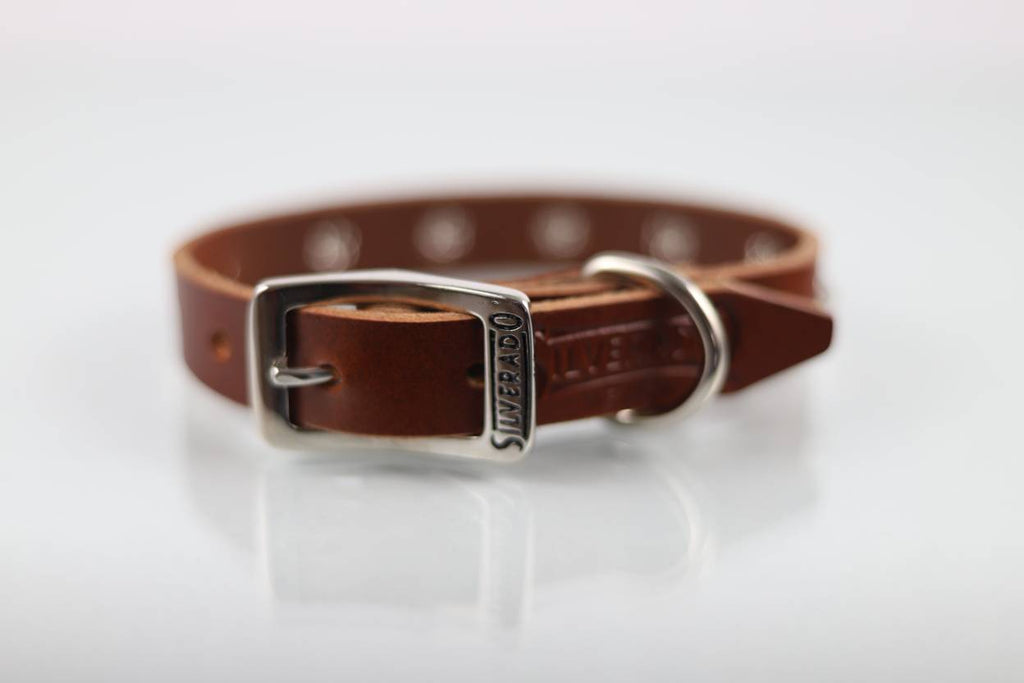 Collar con Estoperol para Perro de Piel, 3cm de ancho
