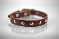 Collar con Estoperol para Perro de Piel, 2cm de ancho