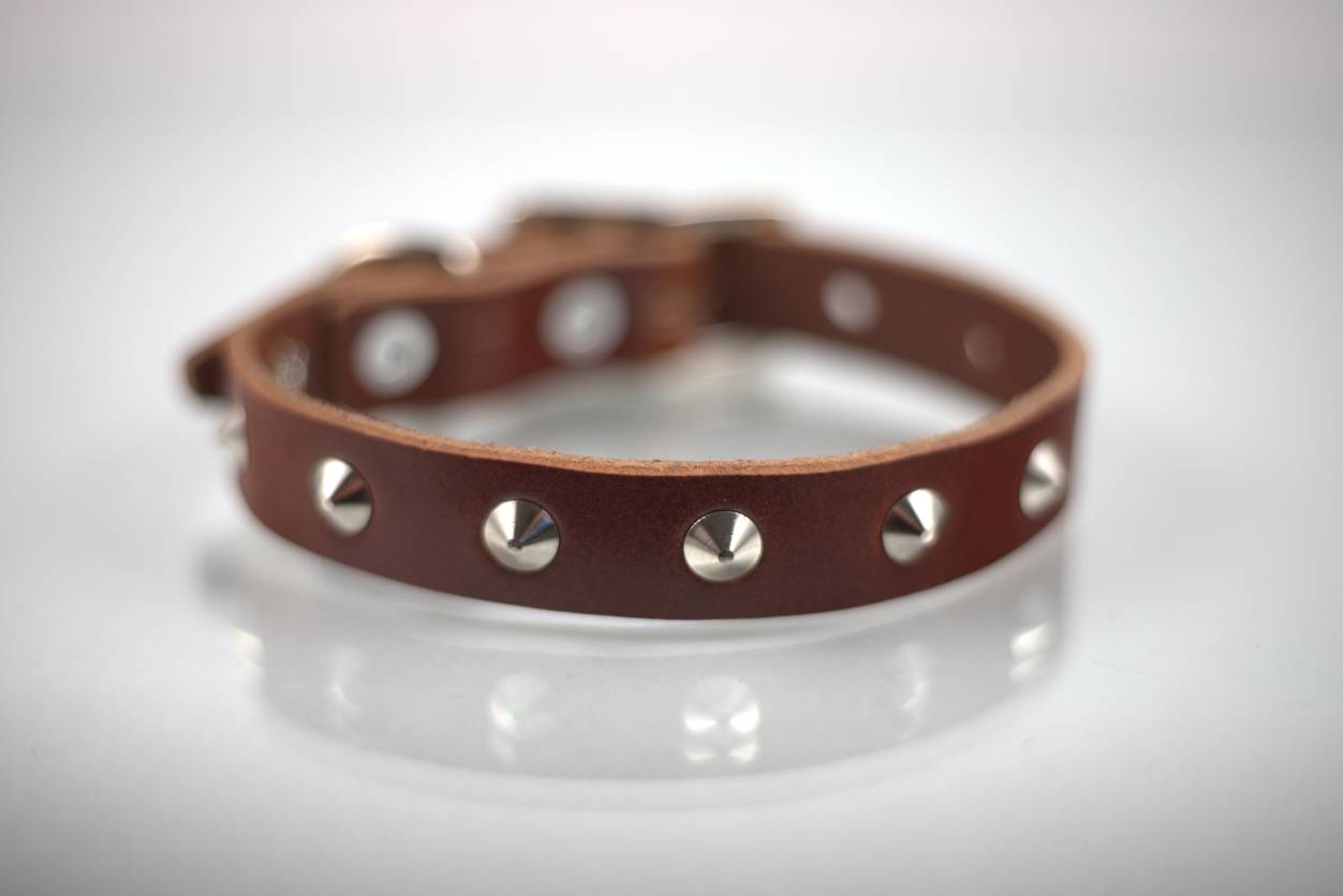 Collar con Estoperol para Perro de Piel, 3cm de ancho