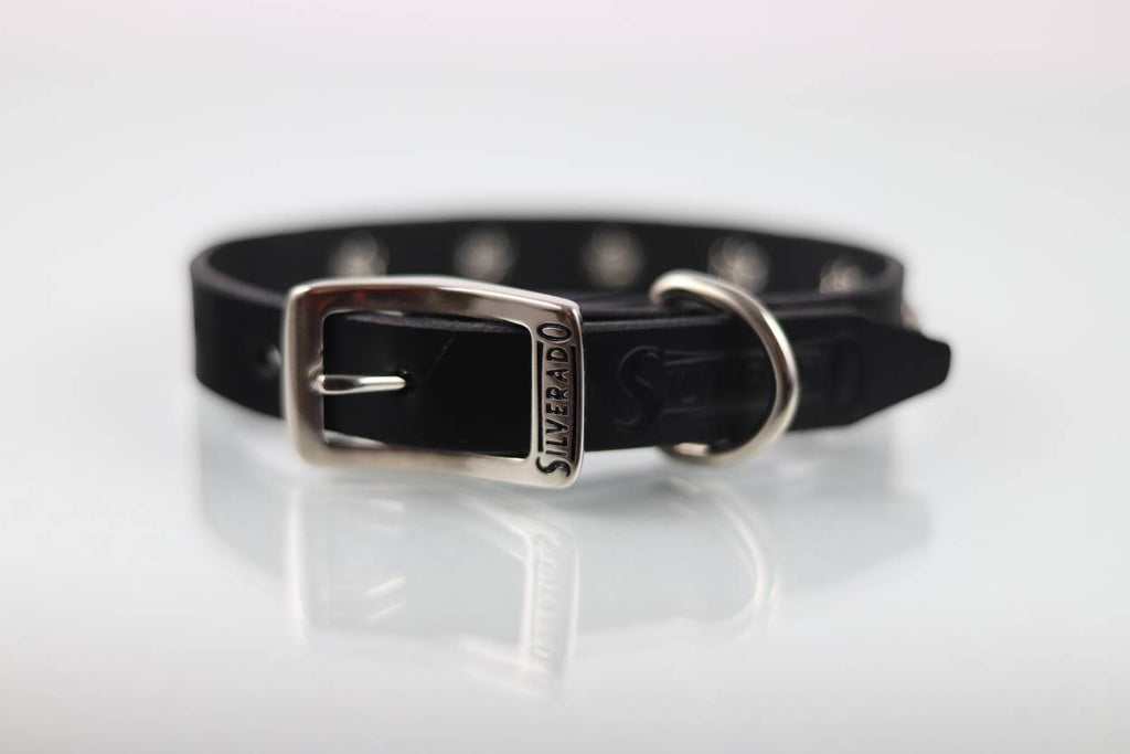 Collar con Estoperol para Perro de Piel, 2cm de ancho
