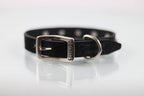 Collar con Estoperol para Perro de Piel, 2cm de ancho