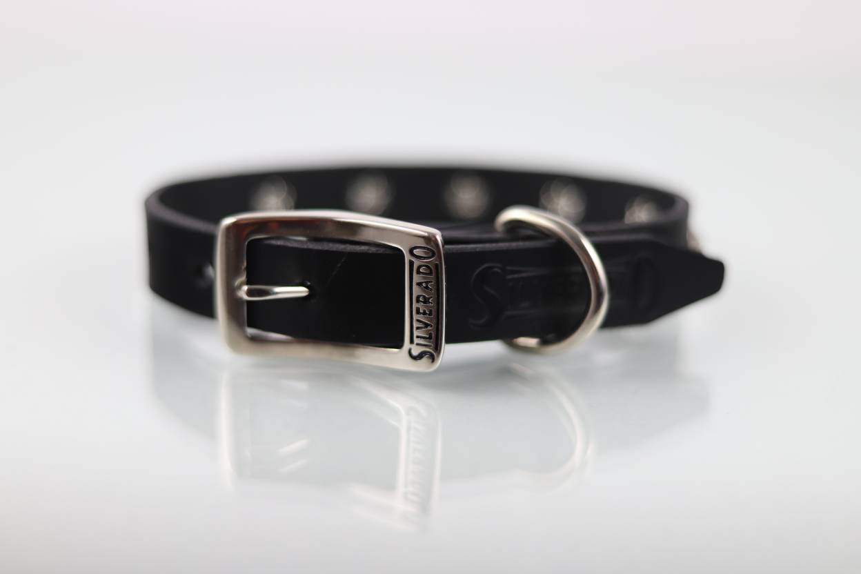 Collar con Estoperol para Perro de Piel, 3cm de ancho
