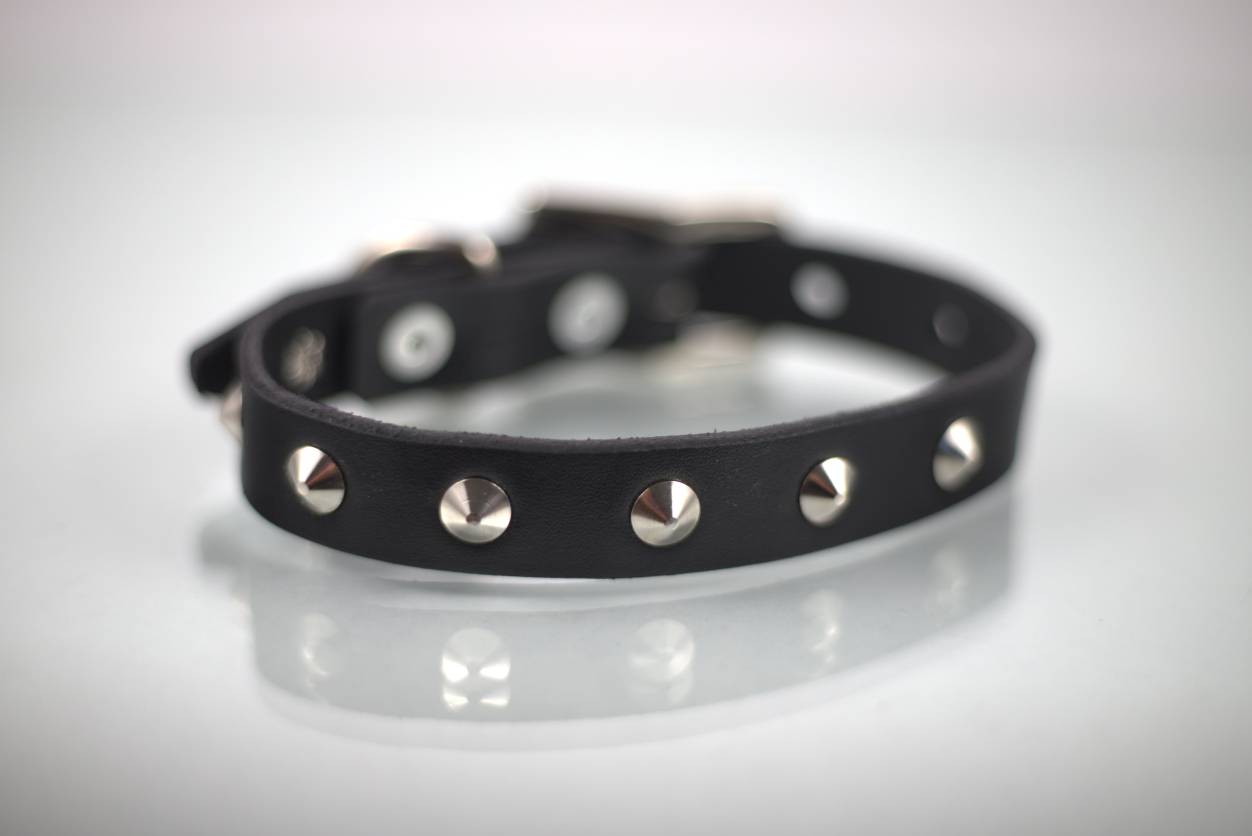 Collar con Estoperol para Perro de Piel, 2cm de ancho