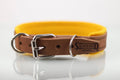 Collar de Agitación con Fieltro para Perro de Piel, 3cm de ancho