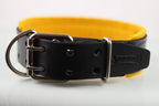 Collar de Agitación con Fieltro para Perro de Piel, 5cm de ancho