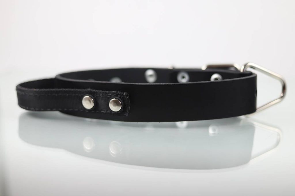 Collar de Agitación con Asa para Perro de Piel, 4cm de ancho