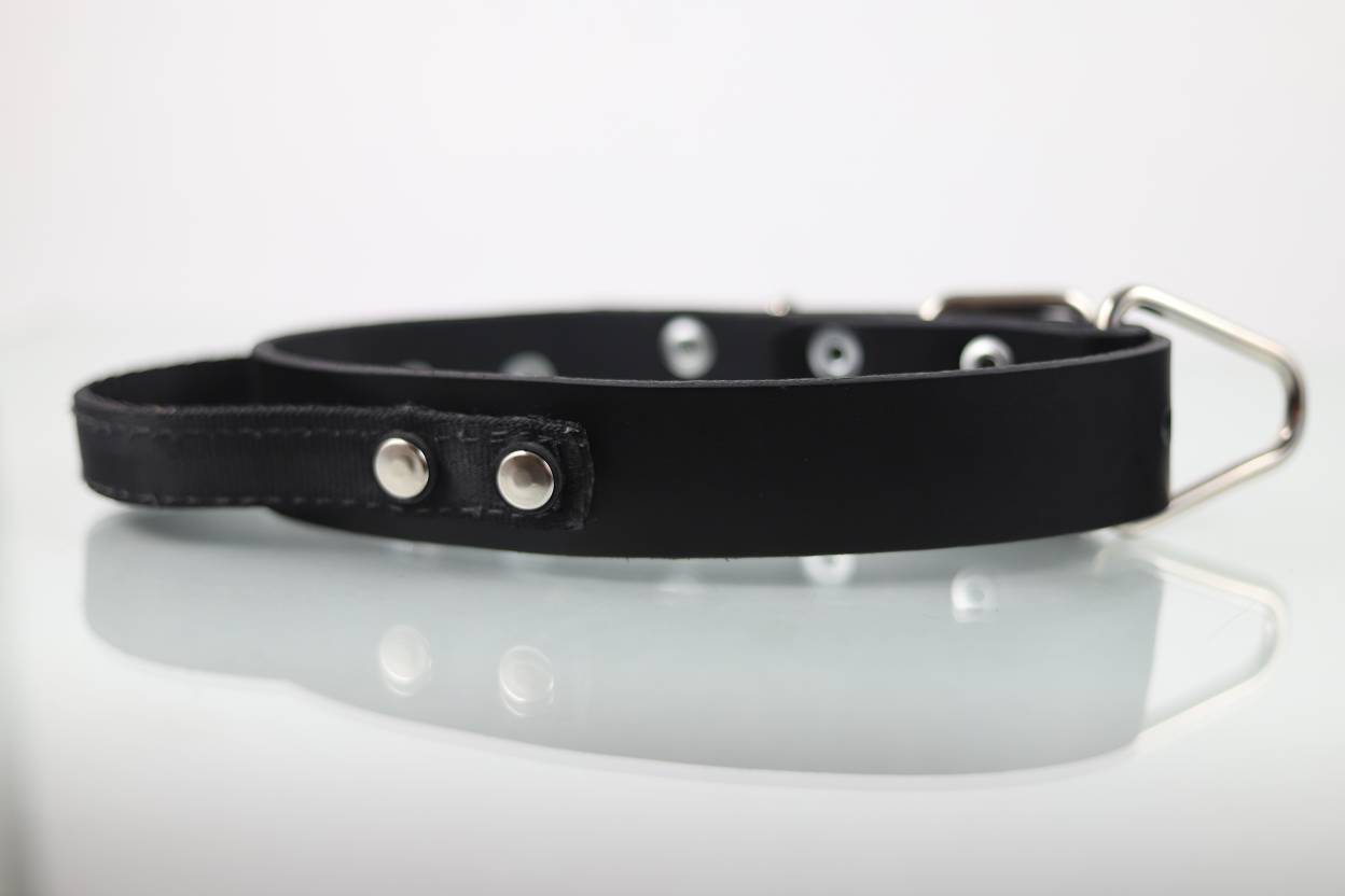 Collar de Agitación con Asa para Perro de Piel, 4cm de ancho