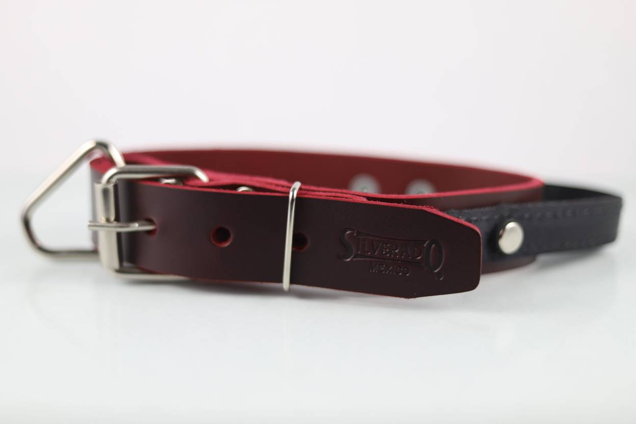 Collar de Agitación con Asa para Perro de Piel, 4cm de ancho