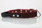 Collar de Agitación con Asa para Perro de Piel, 4cm de ancho