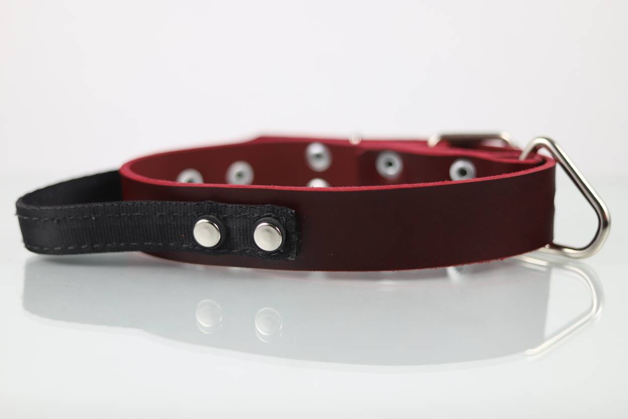 Collar de Agitación con Asa para Perro de Piel, 4cm de ancho
