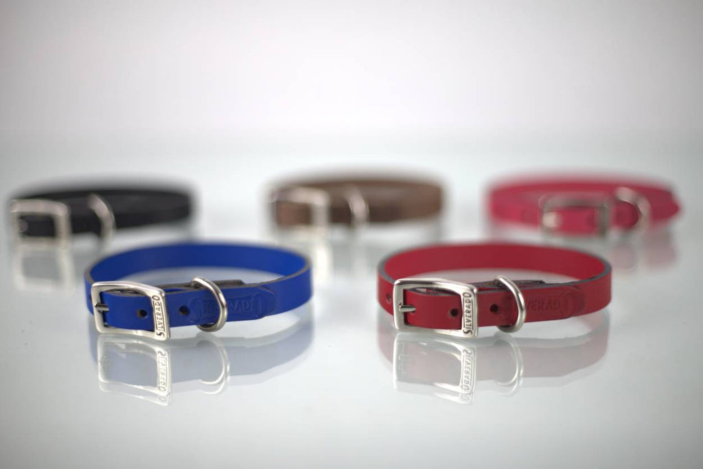 Collar Liso para Perro de Piel, 1cm de ancho