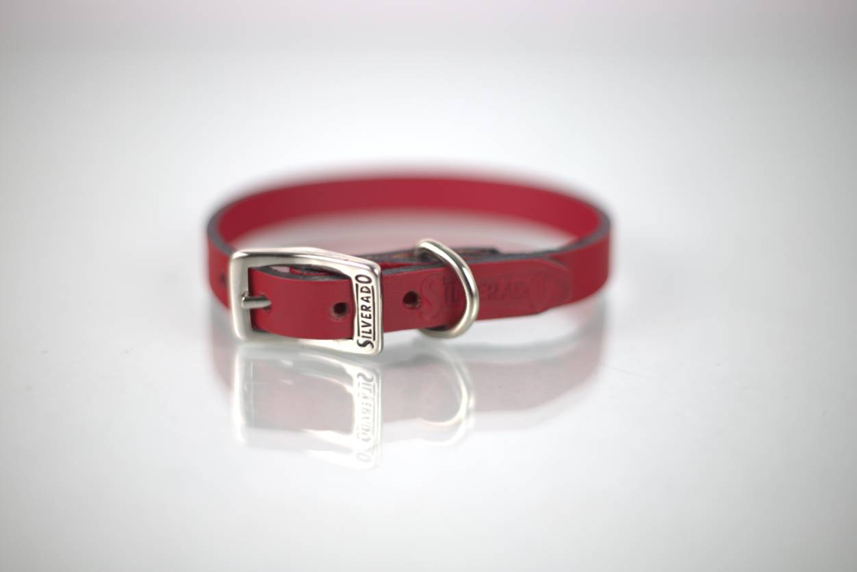 Collar Liso para Perro de Piel, 1cm de ancho