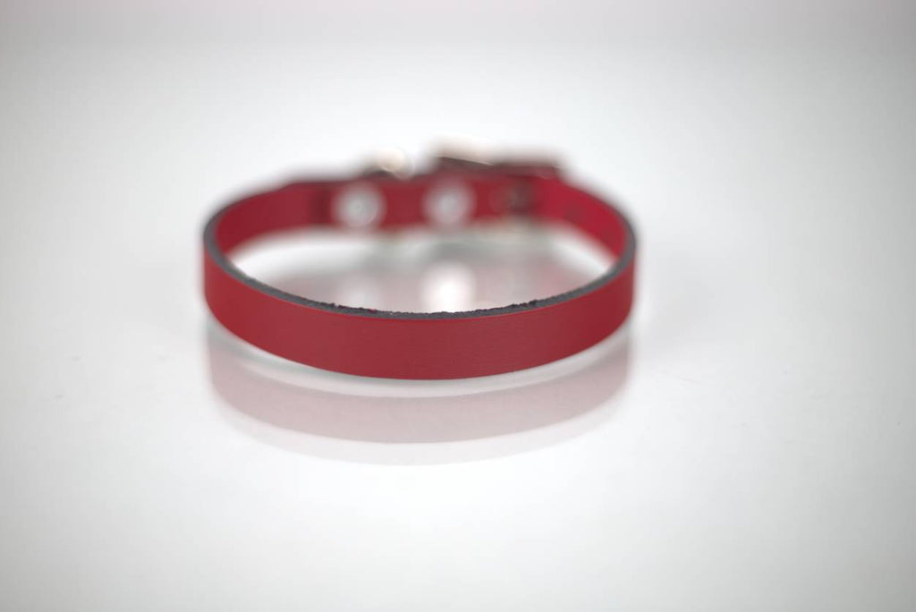 Collar Liso para Perro de Piel, 1cm de ancho
