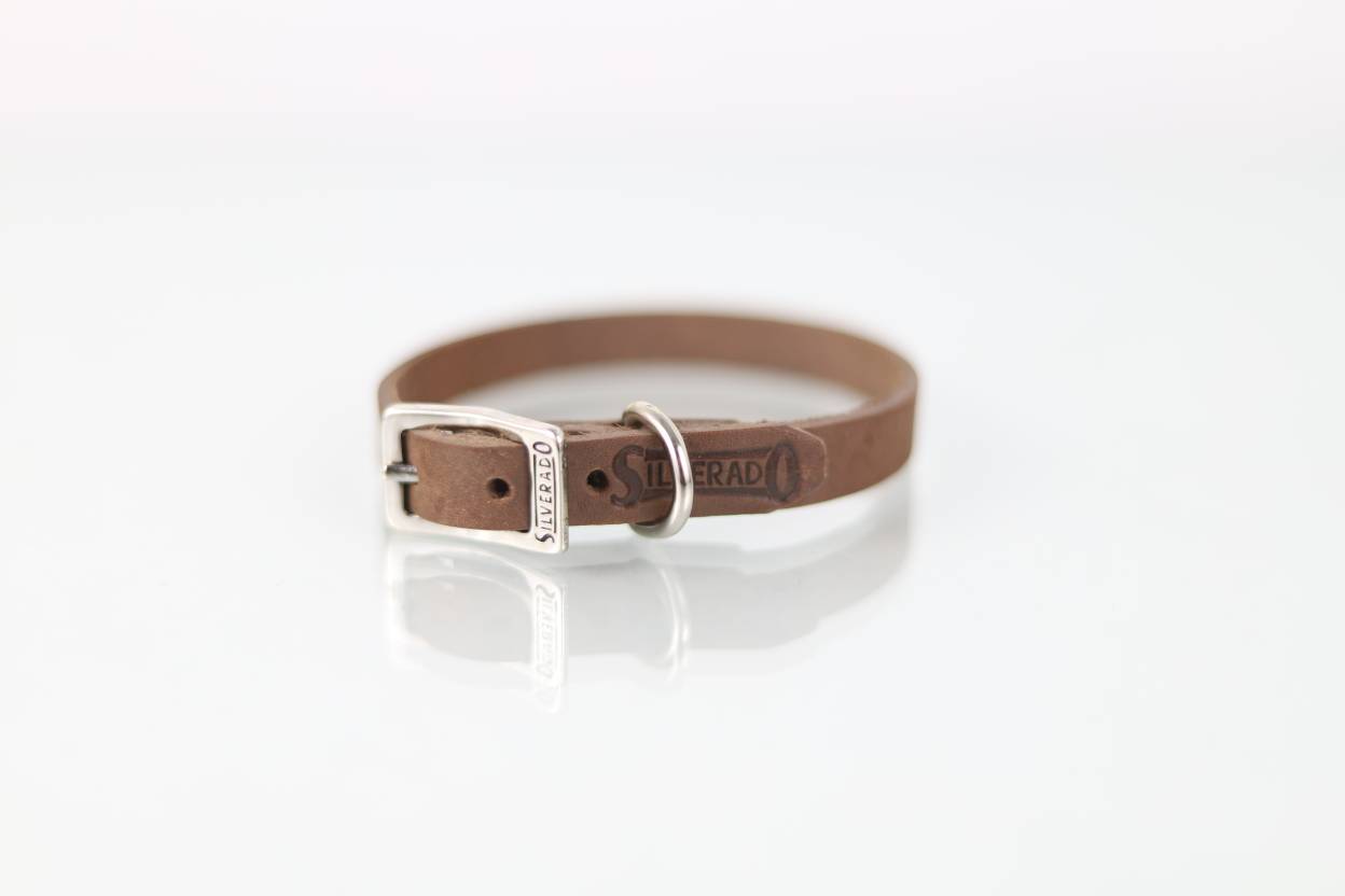 Collar Liso para Perro de Piel, 1cm de ancho