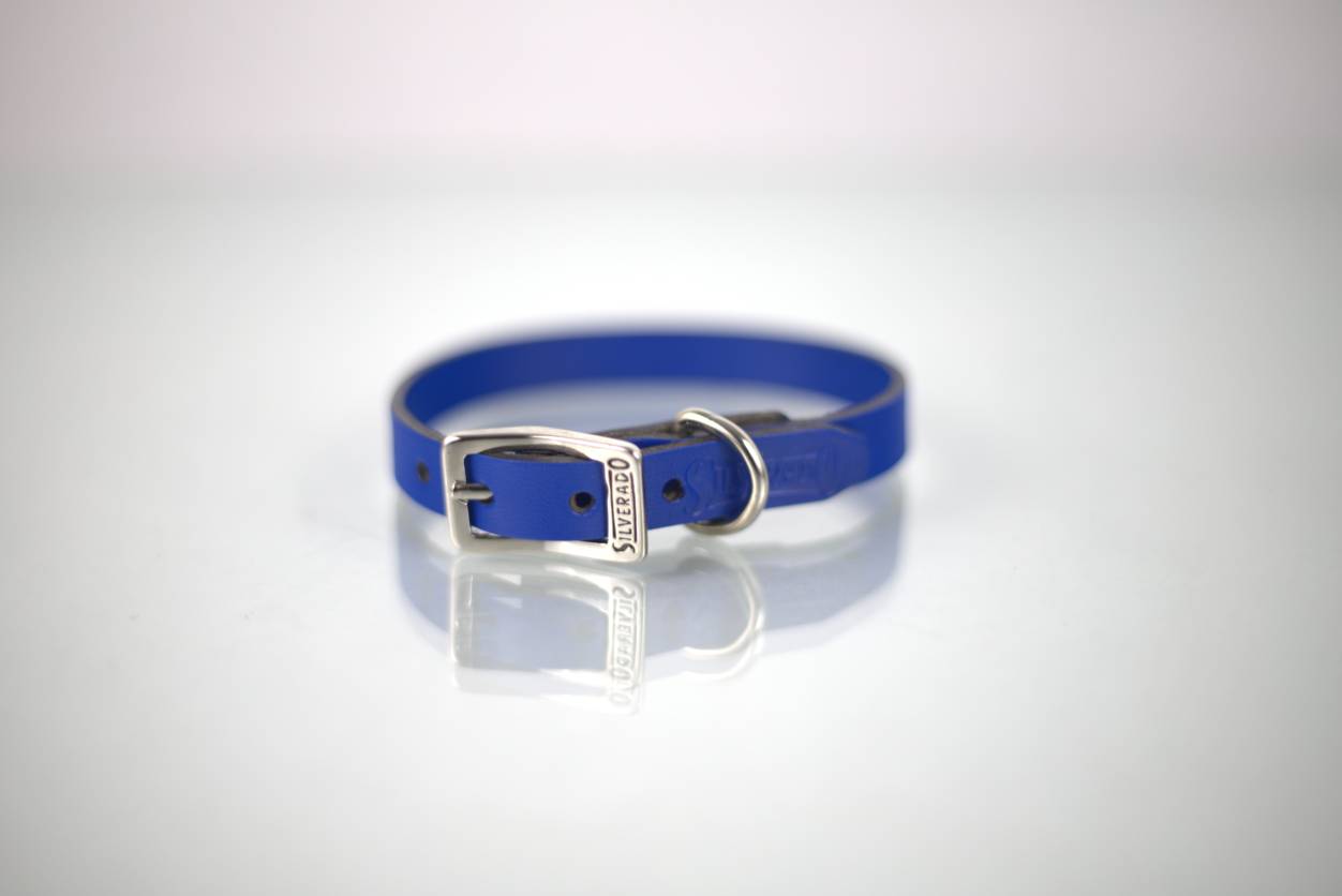 Collar Liso para Perro de Piel, 1cm de ancho
