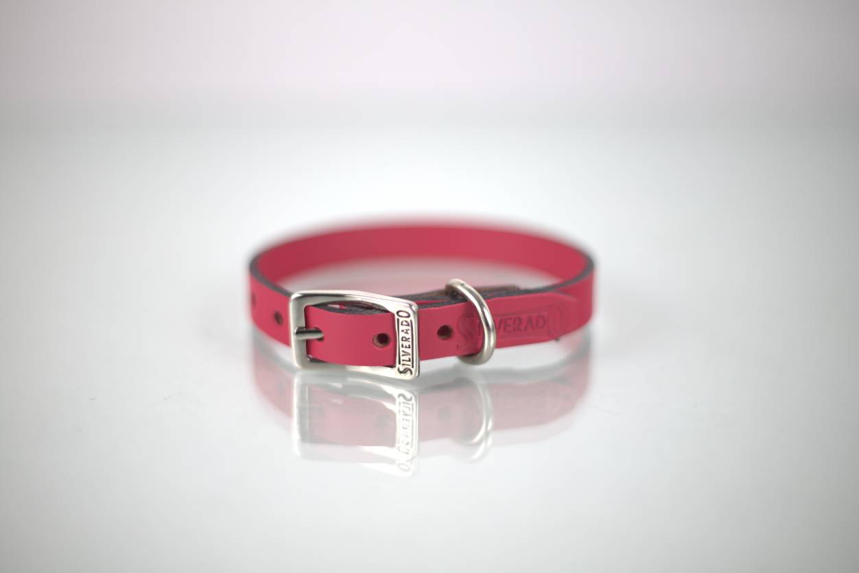 Collar Liso para Perro de Piel, 1cm de ancho