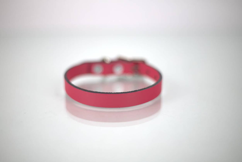 Collar Liso para Perro de Piel, 1cm de ancho