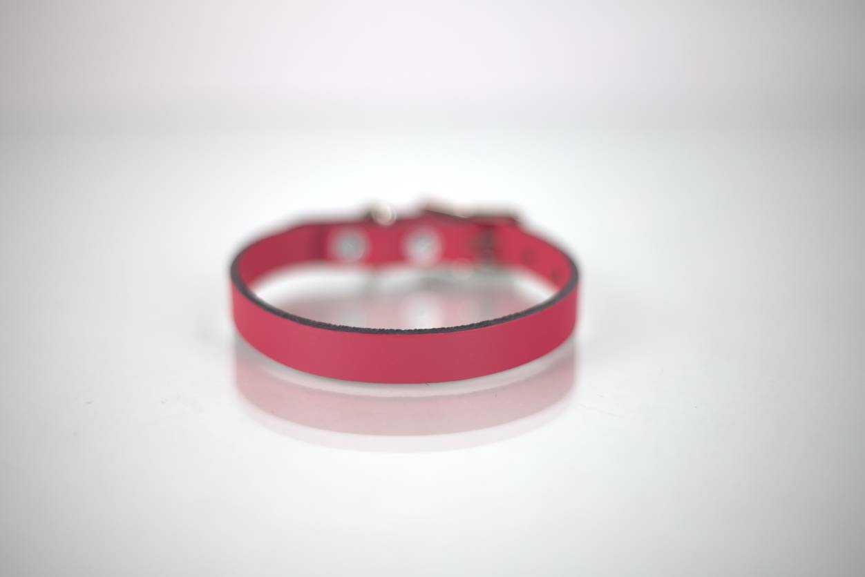 Collar Liso para Perro de Piel, 1cm de ancho