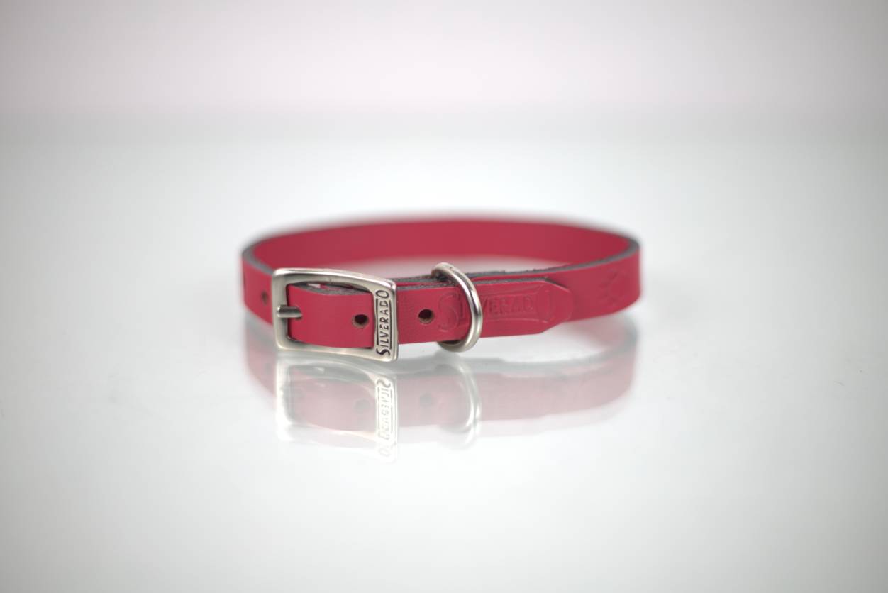 Collar Grabado para Perro de Piel, 1cm de ancho