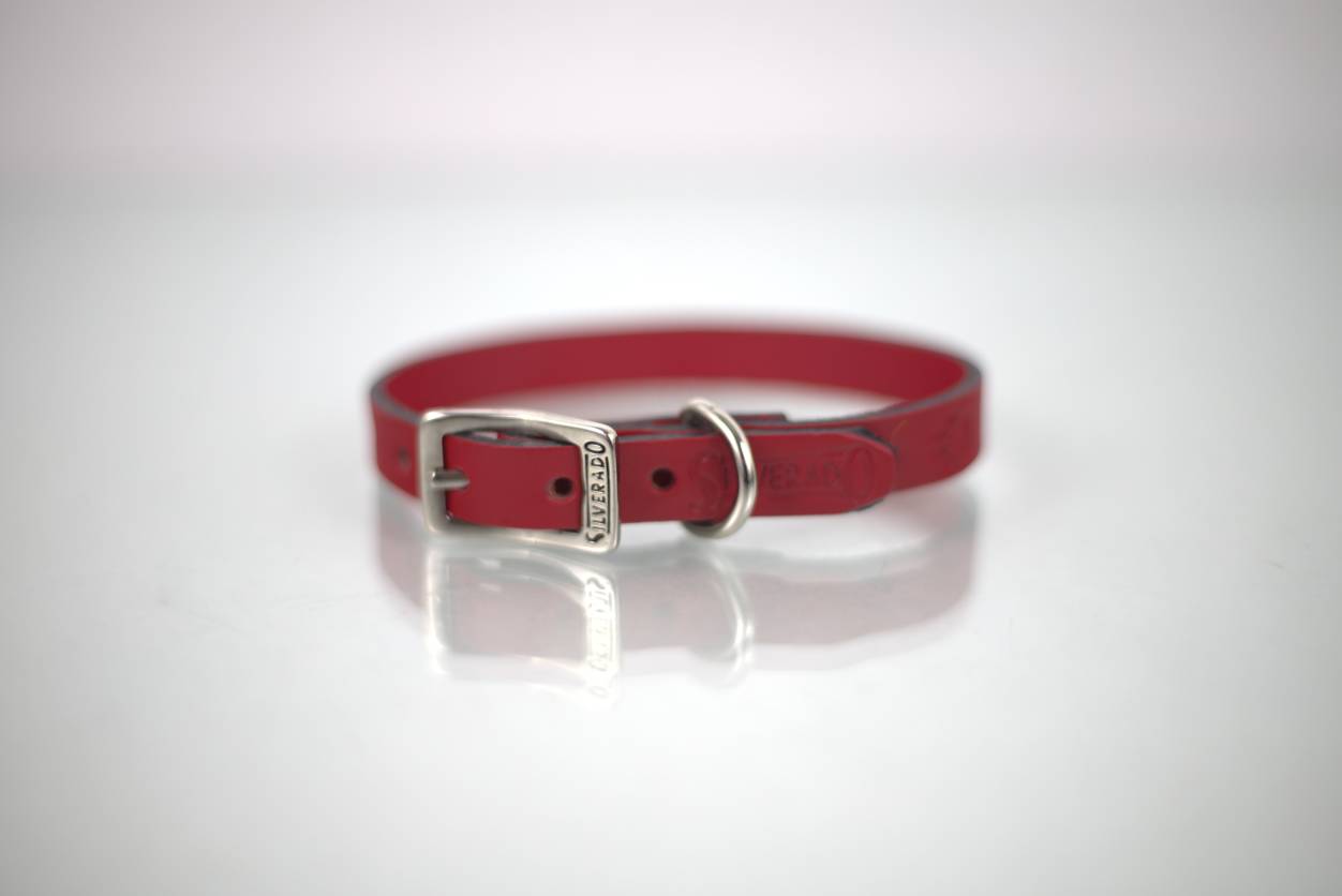 Collar Grabado para Perro de Piel, 1cm de ancho