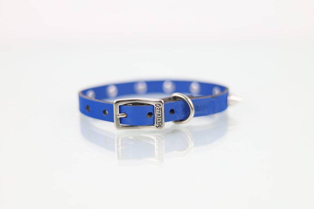 Collar con Picos para Perro de Piel, 1cm de ancho