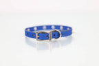 Collar con Picos para Perro de Piel, 1cm de ancho