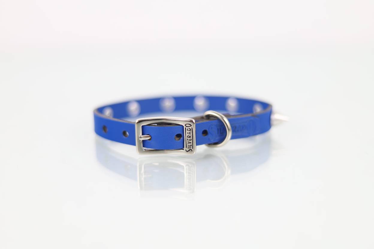 Collar con Picos para Perro de Piel, 1cm de ancho