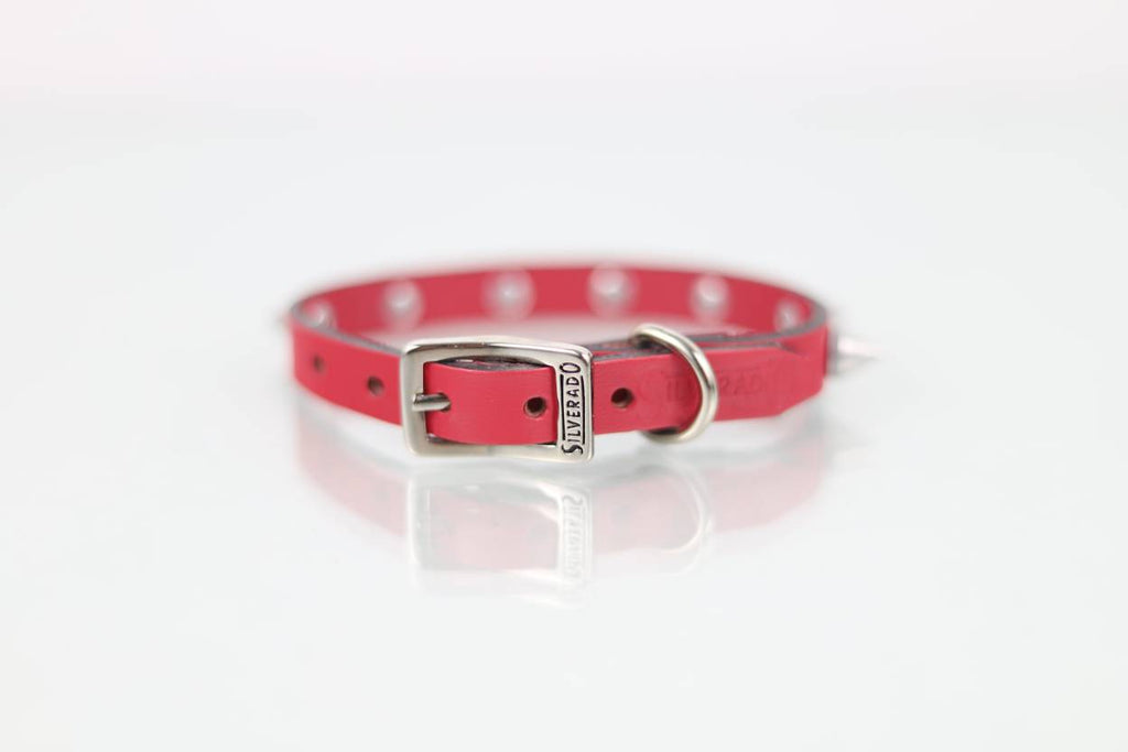 Collar con Picos para Perro de Piel, 1cm de ancho