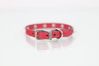 Collar con Picos para Perro de Piel, 1cm de ancho