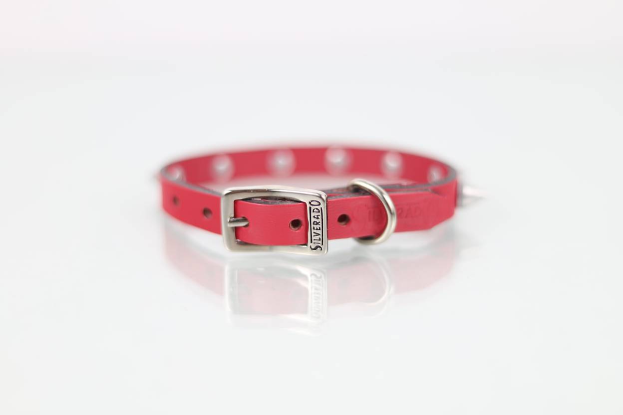 Collar con Picos para Perro de Piel, 1cm de ancho
