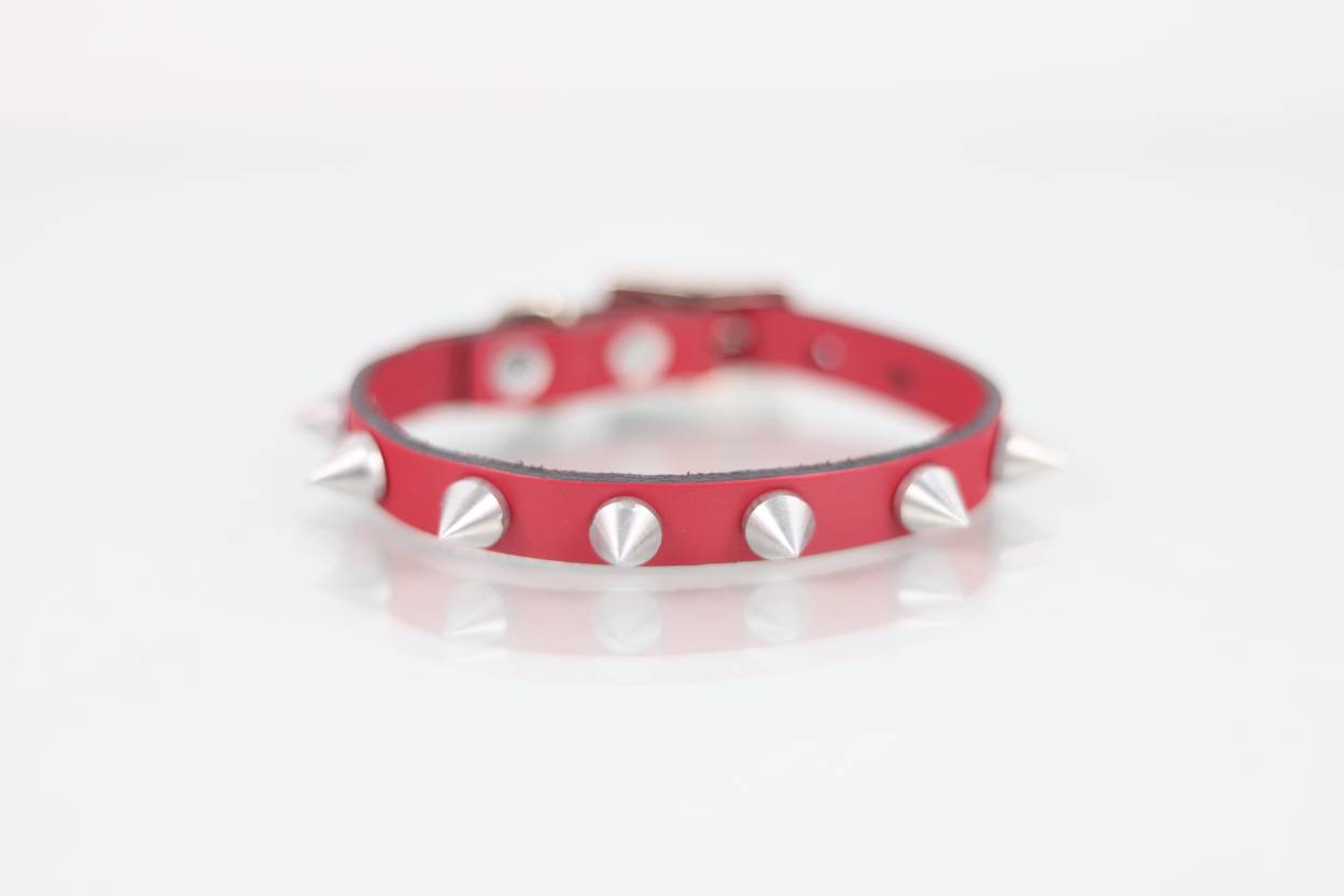Collar con Picos para Perro de Piel, 1cm de ancho