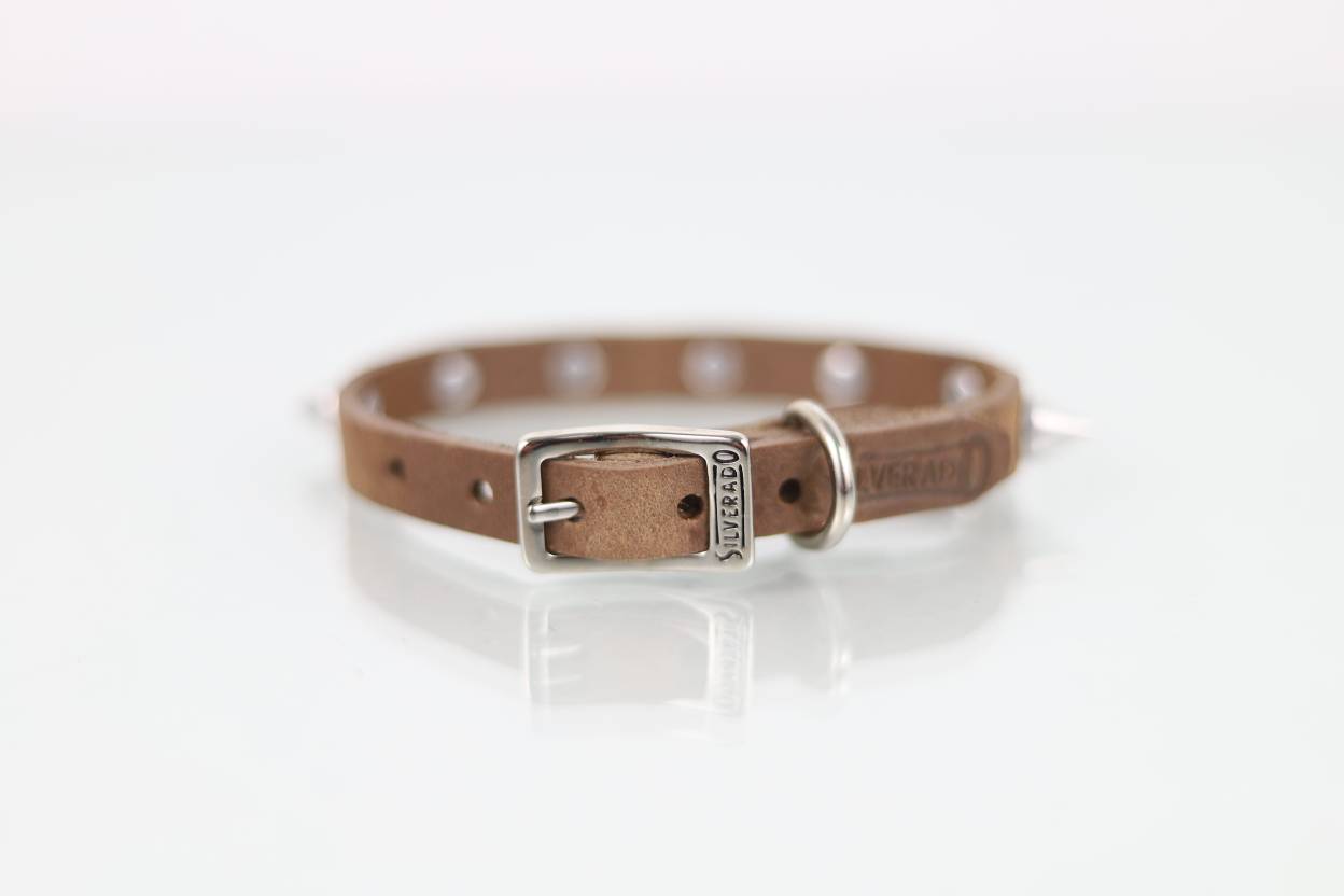 Collar con Picos para Perro de Piel, 1cm de ancho