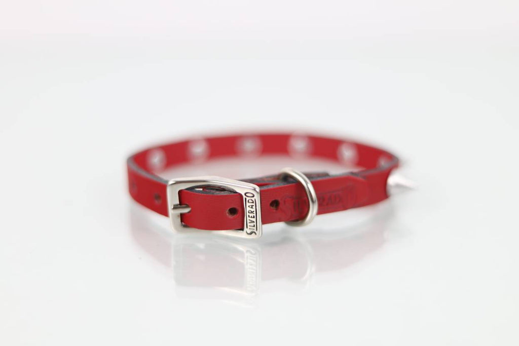 Collar con Picos para Perro de Piel, 1cm de ancho