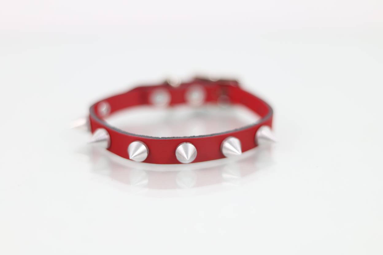 Collar con Picos para Perro de Piel, 1cm de ancho