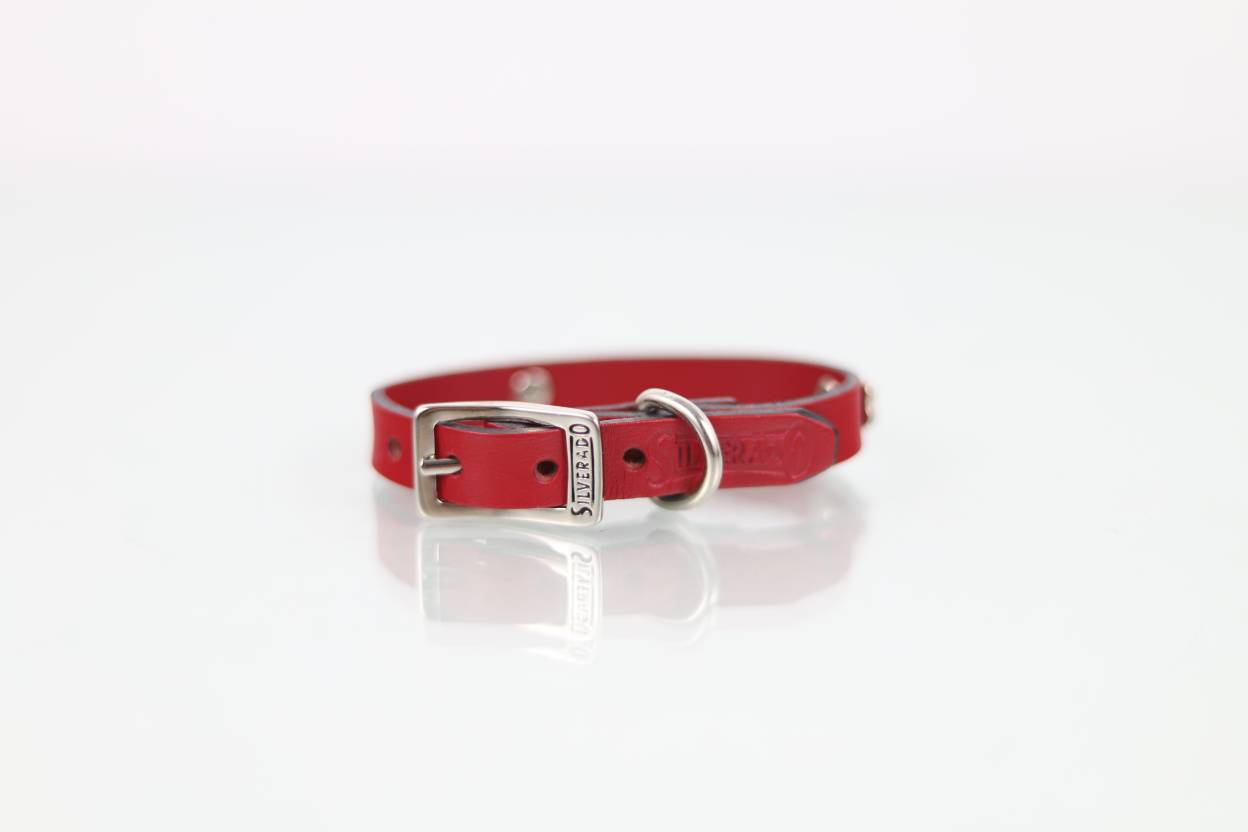 Collar con Aplicación Metálica Hueso para Perro de Piel, 1cm de ancho