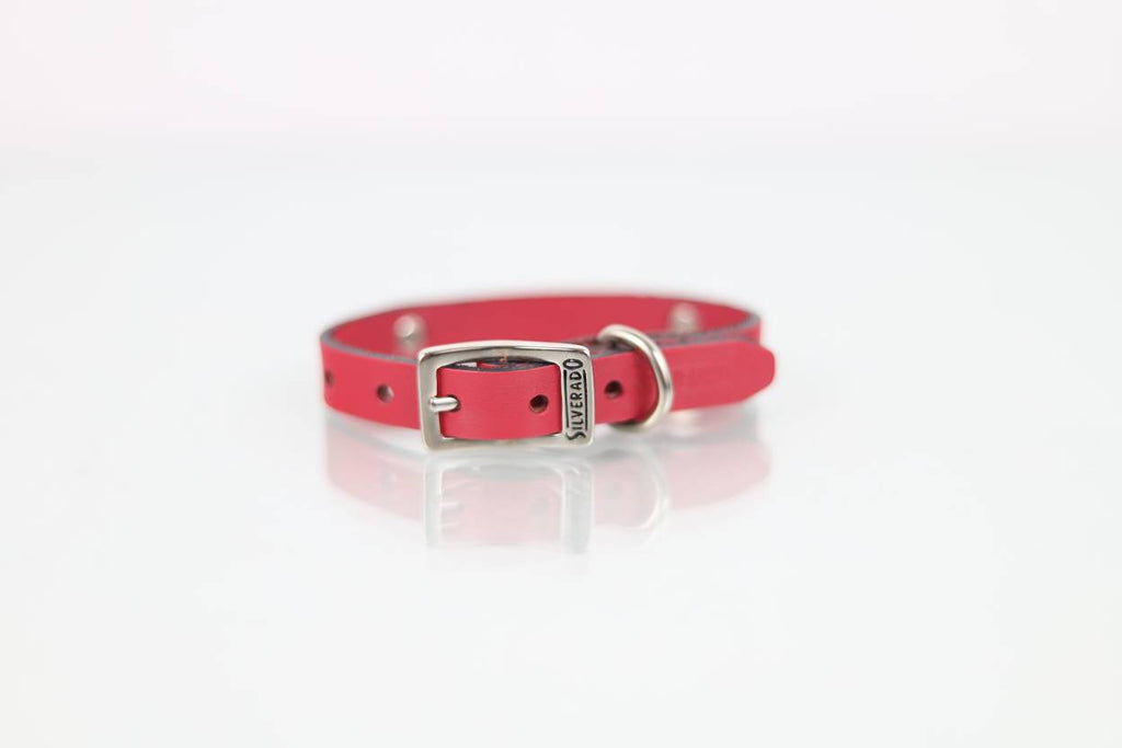 Collar con Aplicación Metálica Hueso para Perro de Piel, 1cm de ancho