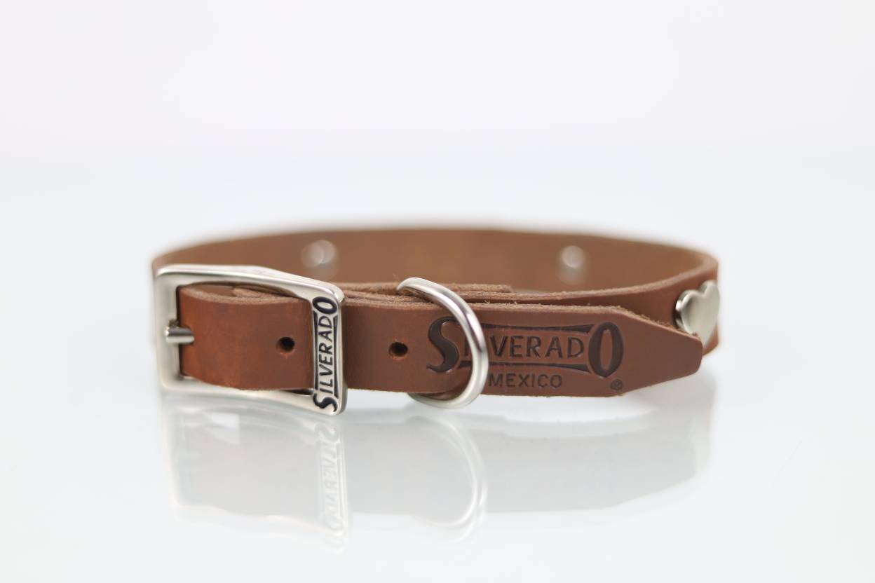 Collar con Aplicación Metálica Corazón para Perro de Piel, 2cm de ancho