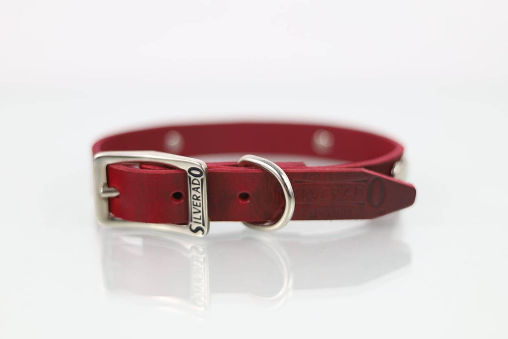 Collar con Aplicación Metálica Corazón para Perro de Piel, 2cm de ancho