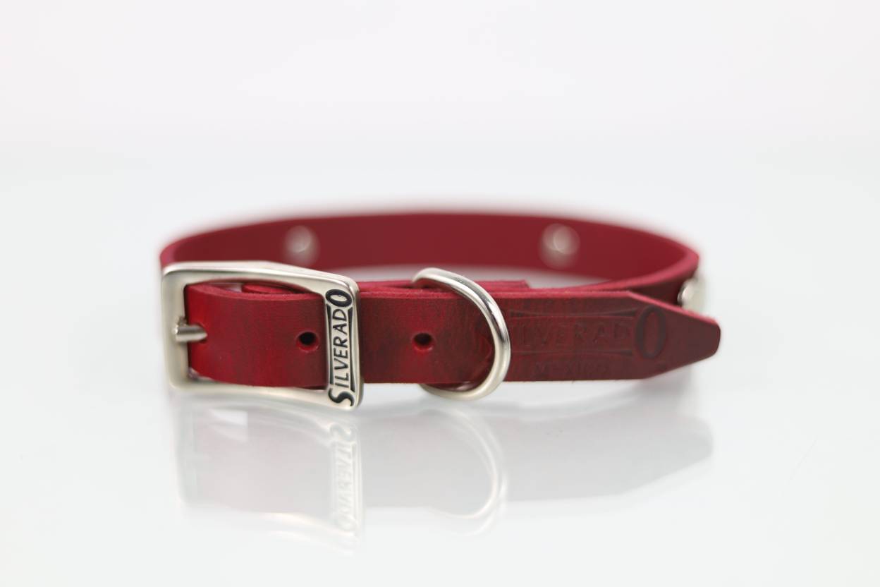 Collar con Aplicación Metálica Corazón para Perro de Piel, 2cm de ancho