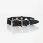 Collar con Picos para Perro de Piel, 2cm de ancho