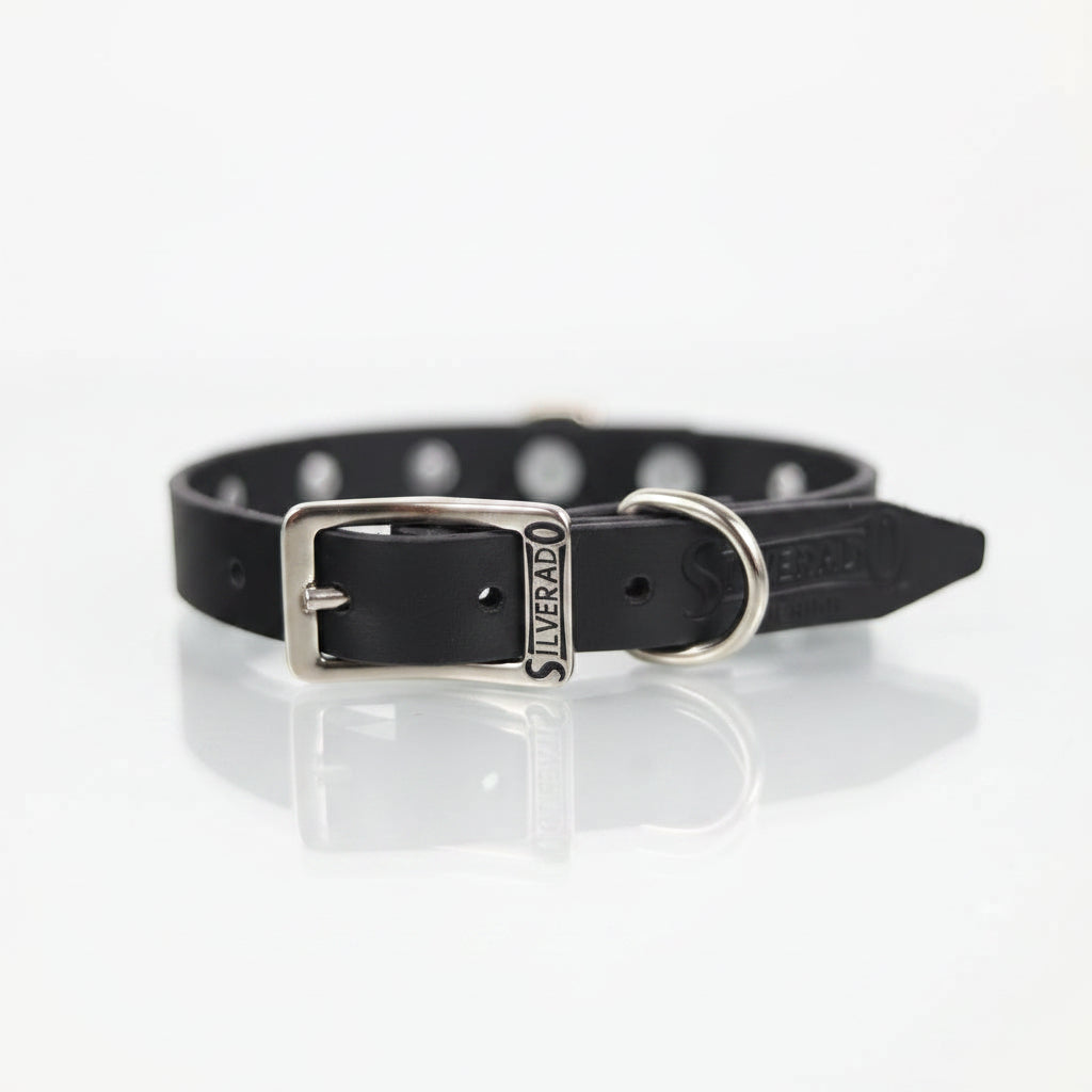 Collar con Picos para Perro de Piel, 2cm de ancho