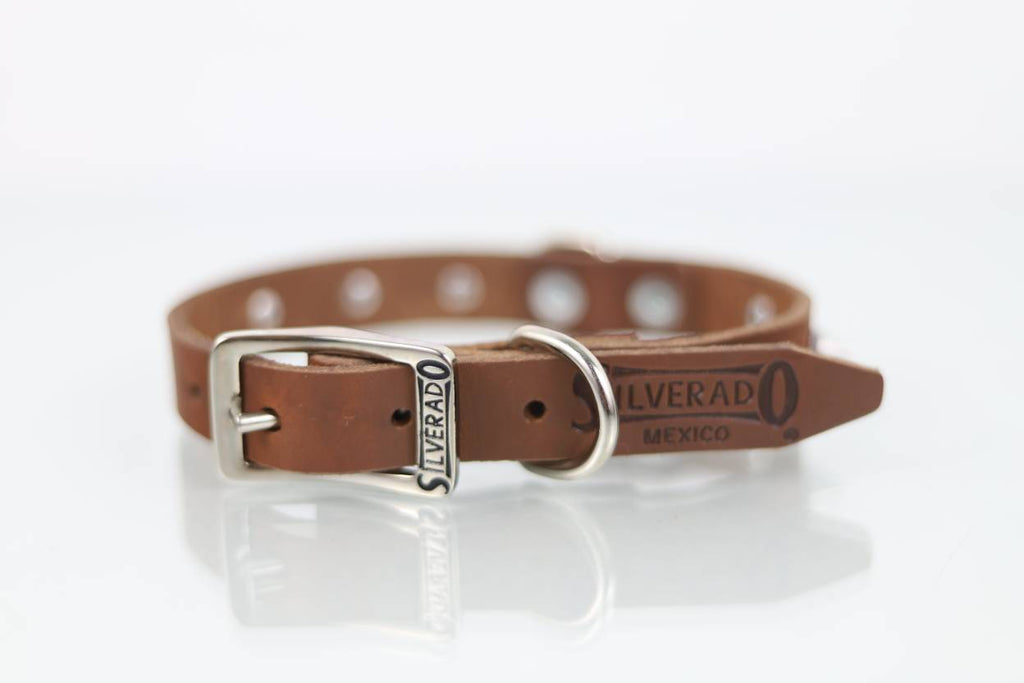 Collar con Picos para Perro de Piel, 2cm de ancho