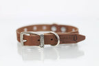 Collar con Picos para Perro de Piel, 2cm de ancho