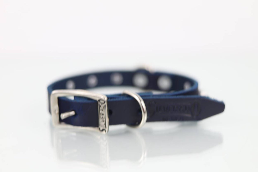 Collar con Picos para Perro de Piel, 2cm de ancho