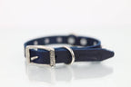 Collar con Picos para Perro de Piel, 2cm de ancho