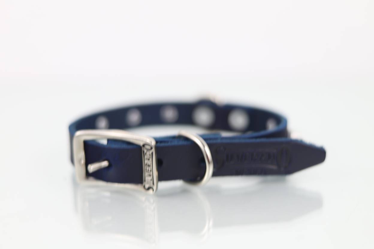 Collar con Picos para Perro de Piel, 2cm de ancho