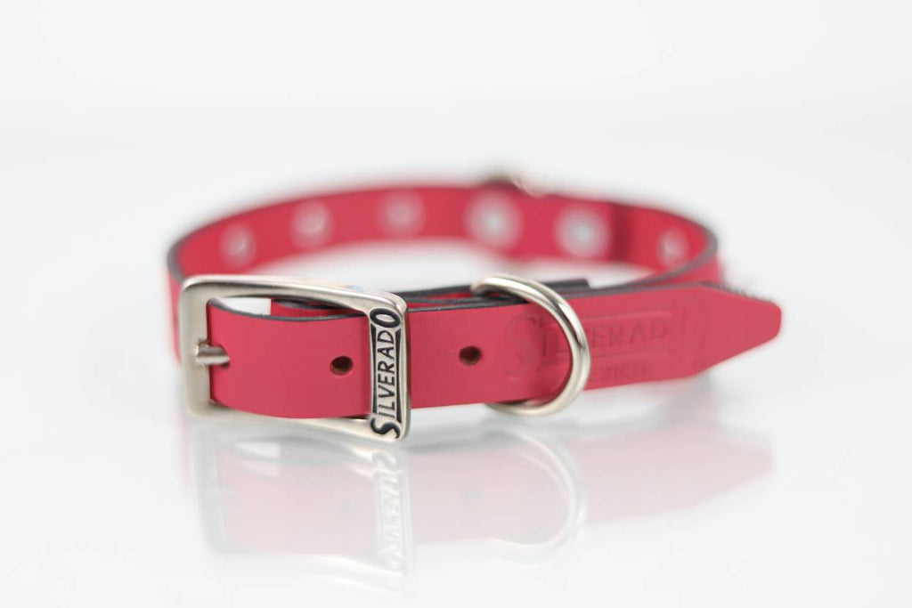 Collar con Picos para Perro de Piel, 2cm de ancho